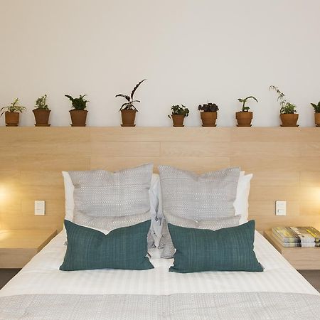 Apartament Casa Dovela Meksyk Zewnętrze zdjęcie